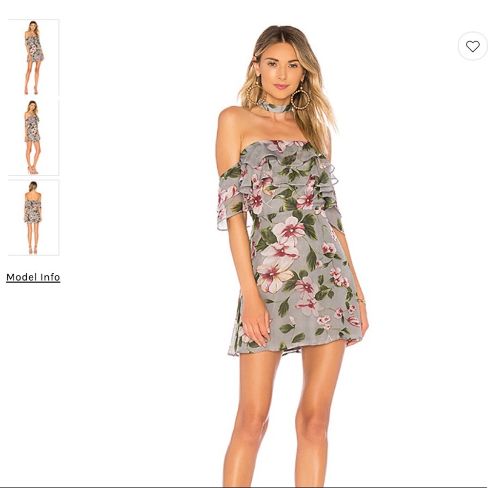 About Us.  Parker Choker Dress XS from Revolve.